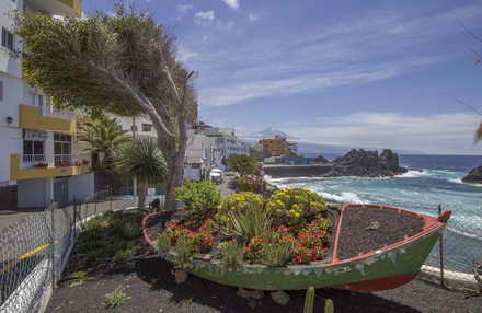 top 10 excursions to experience the best of tenerife